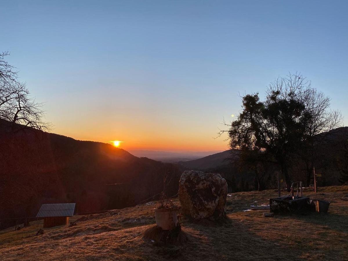 Almhaus Kochjosel Villa Garanas Dış mekan fotoğraf