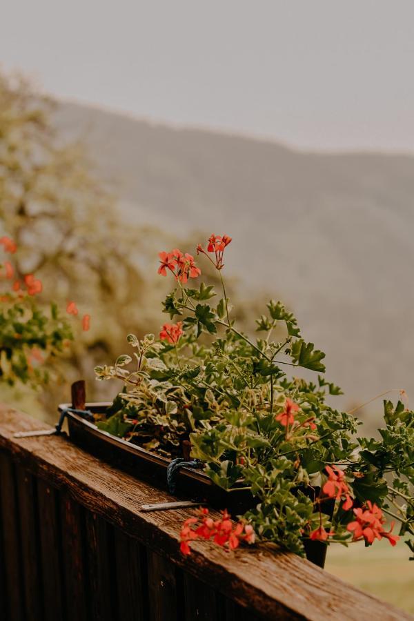 Almhaus Kochjosel Villa Garanas Dış mekan fotoğraf