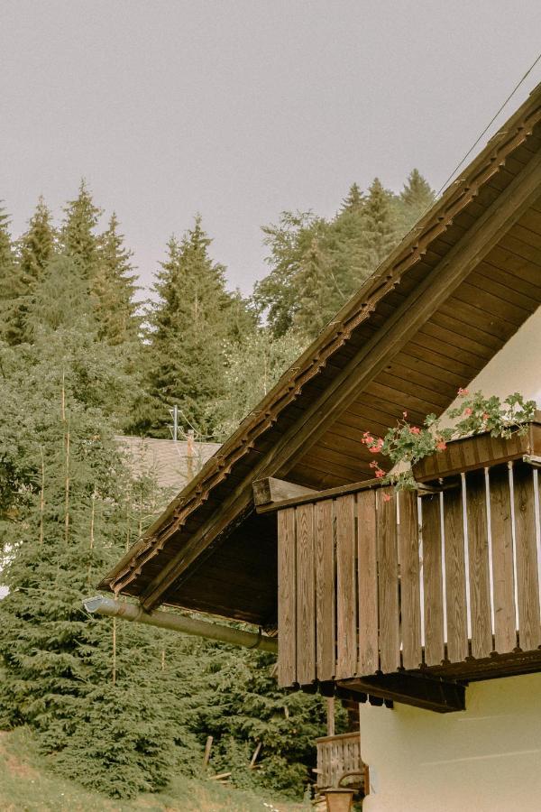 Almhaus Kochjosel Villa Garanas Dış mekan fotoğraf