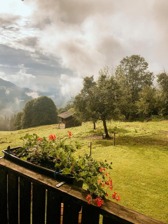 Almhaus Kochjosel Villa Garanas Dış mekan fotoğraf