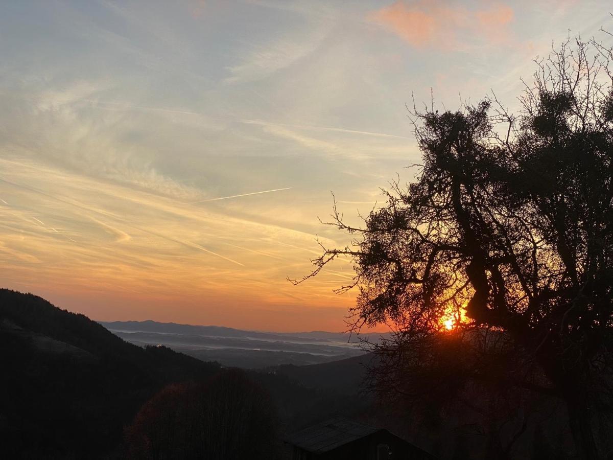 Almhaus Kochjosel Villa Garanas Dış mekan fotoğraf